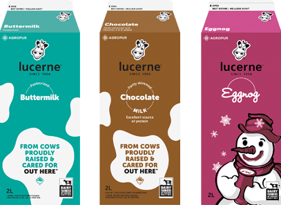 Lucerne* Flavoured Milks