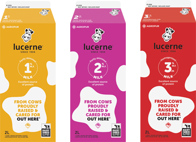 Lucerne* White Milks